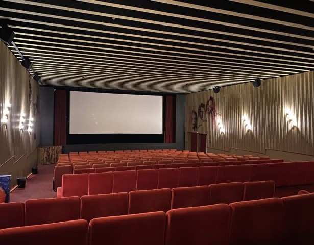 Cinema evening