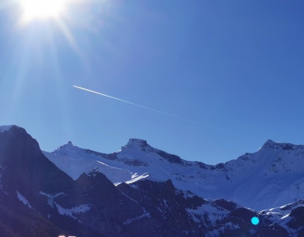 Weihnachtsspaziergang mit Bettina