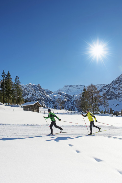 Cross-country skiing